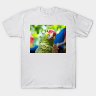 122014 parrot T-Shirt